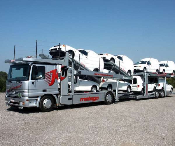Photo of Open Car Shipping Carrier