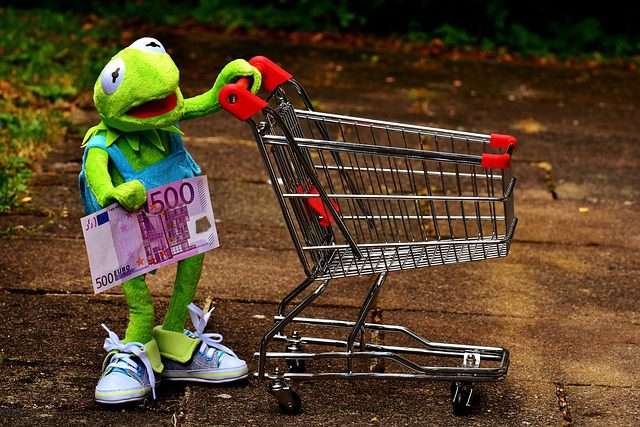 photo of kermit the frog pushing a cart