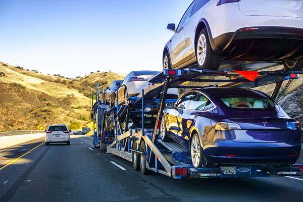 20 Years Experience Shipping Cars