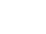 Expedited Rate  MIDDLE TEIR Car Shipping