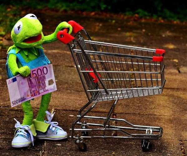 photo of kermit the frog pushing a cart