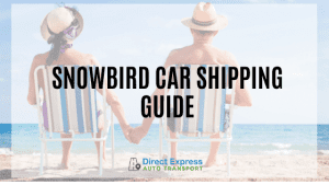 Snowbird car shipping guide - a couple sitting on a beach holding hands